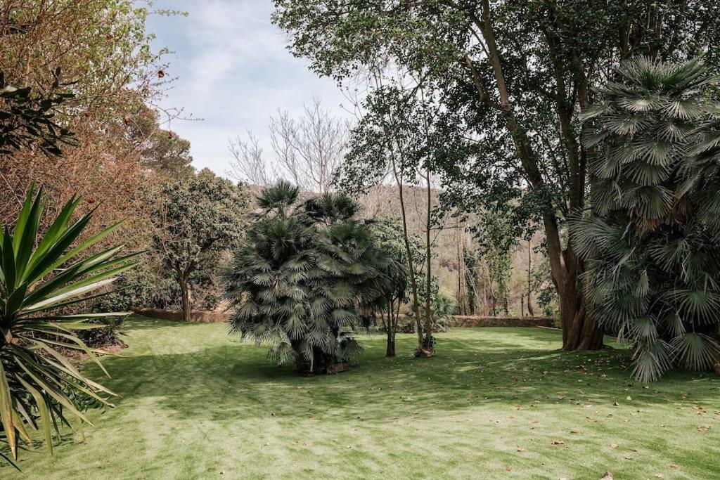 Villa Catalina Aka Villa Almanita ซาน เปเร เด ริเบส ภายนอก รูปภาพ